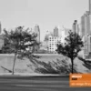 IMAGO 320 示意 - 城市街景高反差表現