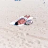示意圖：FilmNeverDie IRO 200 海灘攝影，極簡風格日光浴，白色沙灘，高明度底片風格