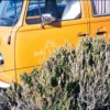 示意圖：FilmNeverDie IRO 200 旅遊攝影，黃色復古露營車，暖色調還原，公路旅行風格