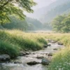 示意圖：Fujifilm PRO 400H 風景攝影，森林溪流，日系青綠色調，柔和低反差