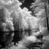 示意圖：Rollei Infrared 400 河流攝影，發光樹葉效果，空靈氛圍，黑白藝術攝影