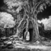 Infrared 400 示意 - 秘境古樹 示意圖:Rollei Infrared 400 風景攝影,古老寺廟樹根,紅外線伍德效應,白色樹葉超現實風格