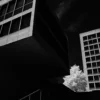 RETRO 400S 示意 - 幾何秩序 示意圖:Rollei RETRO 400S 建築攝影,現代幾何線條,深黑天空背景,極致銳利黑白底片